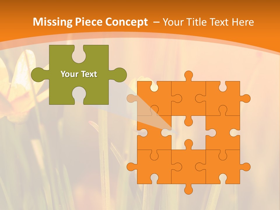 A Field Of Yellow Flowers Powerpoint Template PowerPoint Template