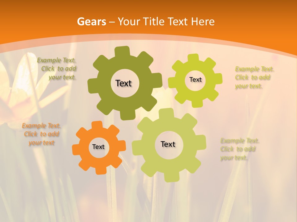 A Field Of Yellow Flowers Powerpoint Template PowerPoint Template