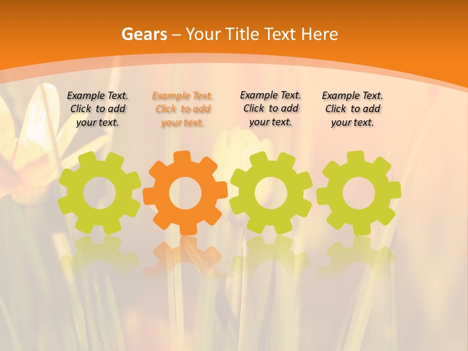 A Field Of Yellow Flowers Powerpoint Template PowerPoint Template