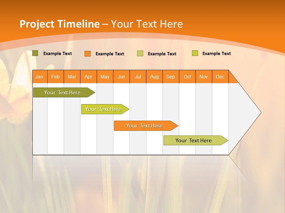 A Field Of Yellow Flowers Powerpoint Template PowerPoint Template