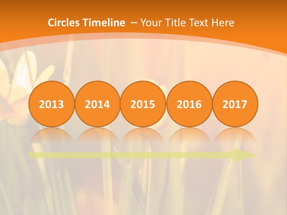 A Field Of Yellow Flowers Powerpoint Template PowerPoint Template