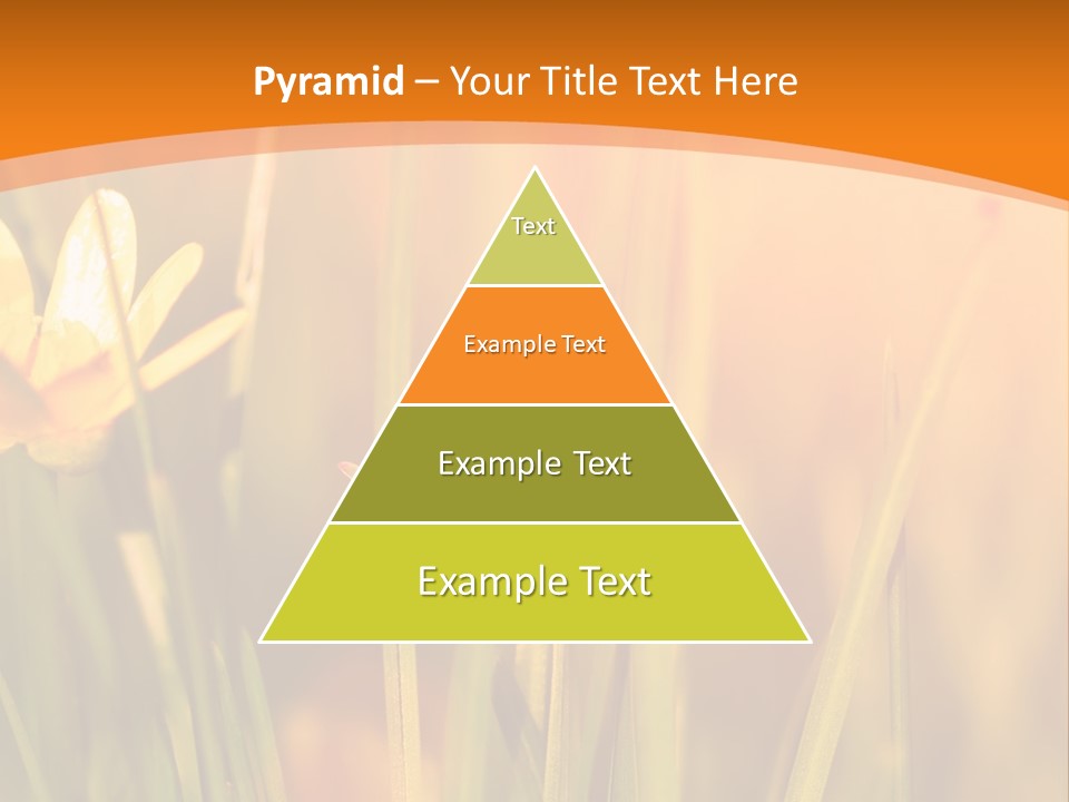 A Field Of Yellow Flowers Powerpoint Template PowerPoint Template