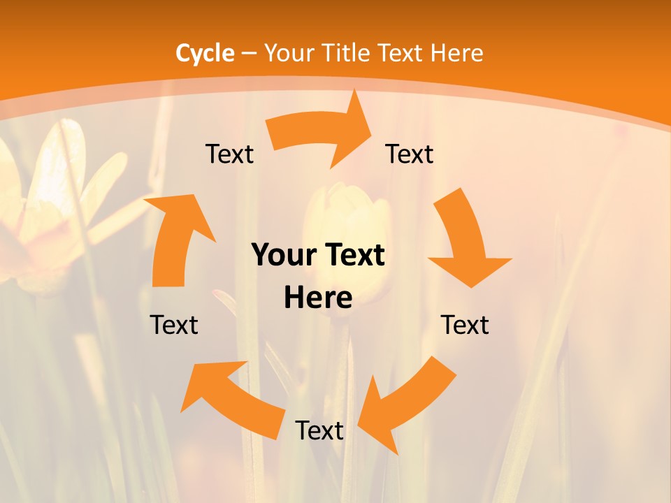 A Field Of Yellow Flowers Powerpoint Template PowerPoint Template