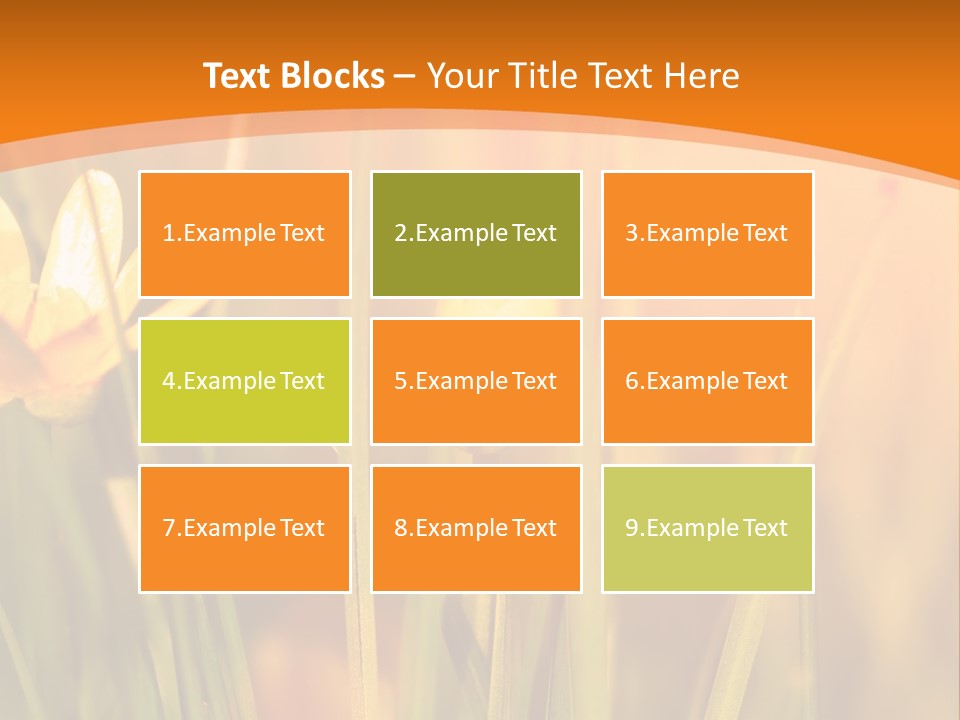 A Field Of Yellow Flowers Powerpoint Template PowerPoint Template