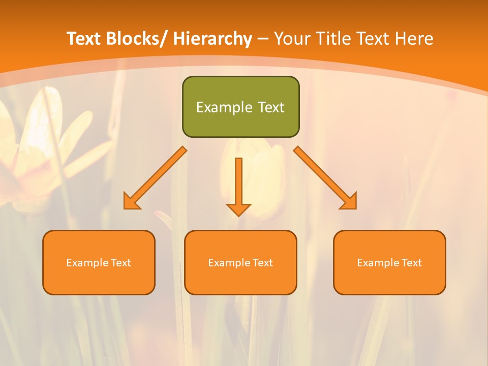 A Field Of Yellow Flowers Powerpoint Template PowerPoint Template