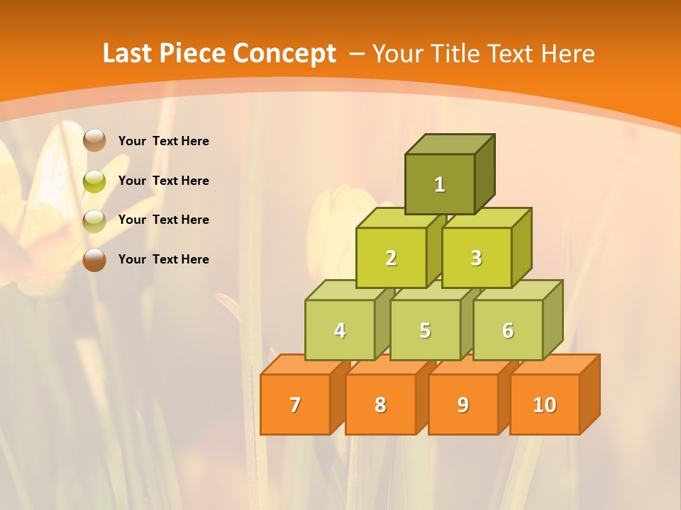 A Field Of Yellow Flowers Powerpoint Template PowerPoint Template