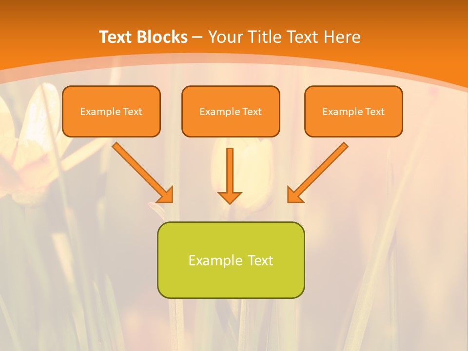 A Field Of Yellow Flowers Powerpoint Template PowerPoint Template