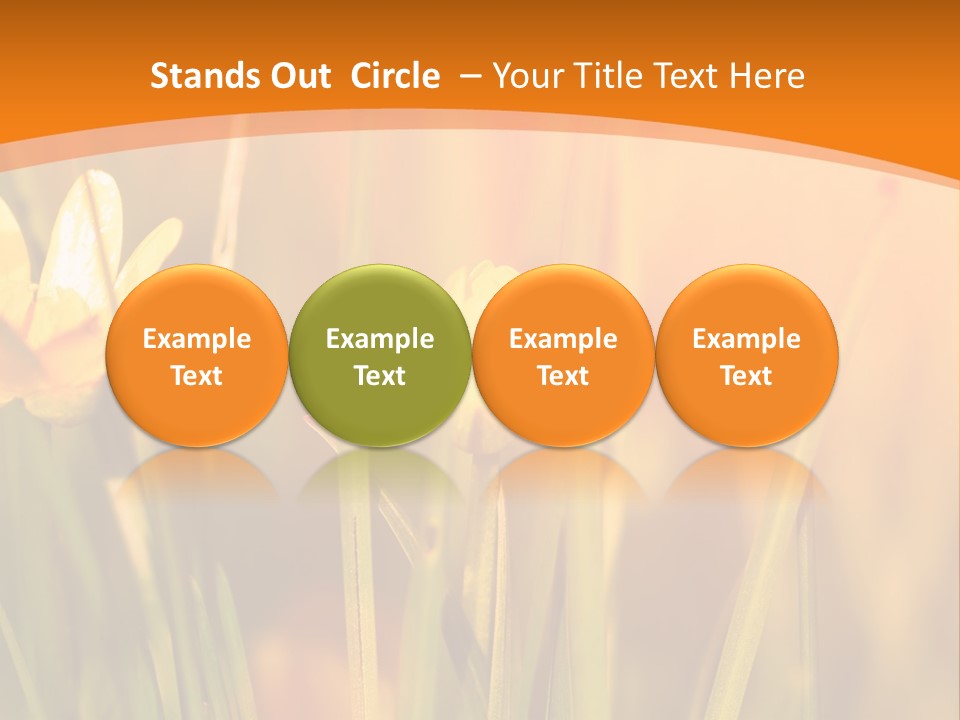 A Field Of Yellow Flowers Powerpoint Template PowerPoint Template