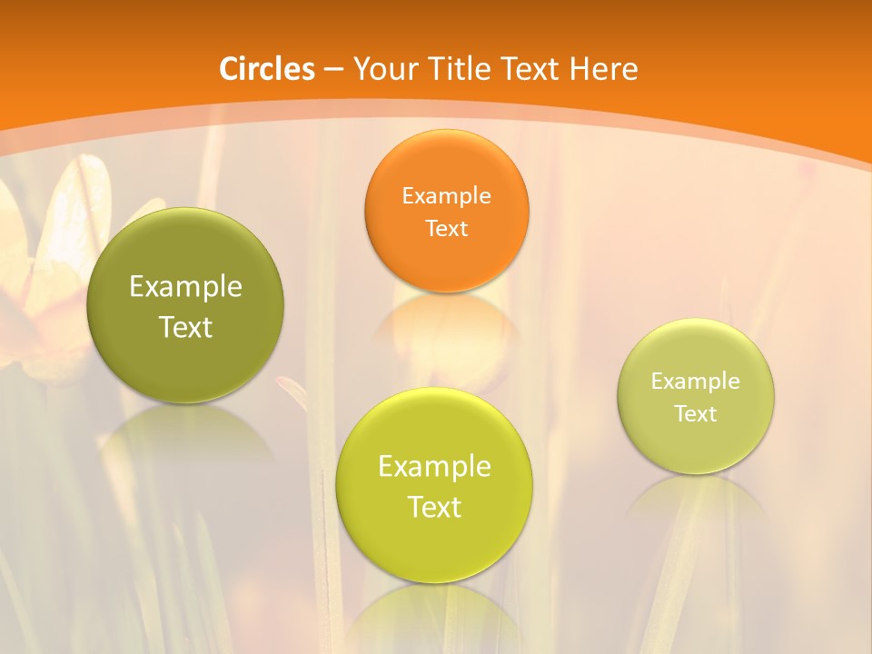 A Field Of Yellow Flowers Powerpoint Template PowerPoint Template
