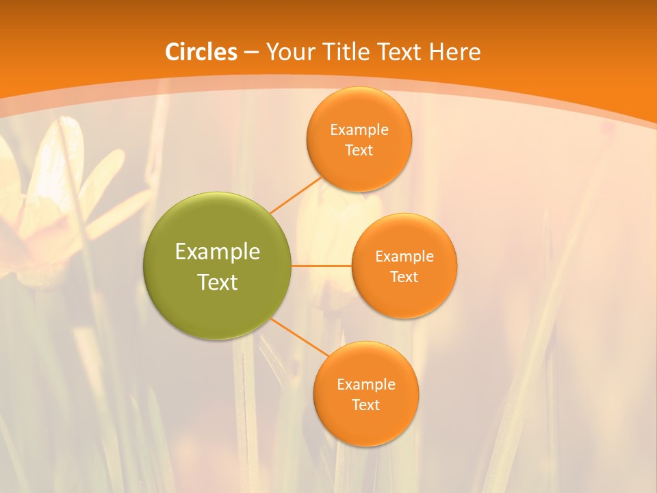 A Field Of Yellow Flowers Powerpoint Template PowerPoint Template