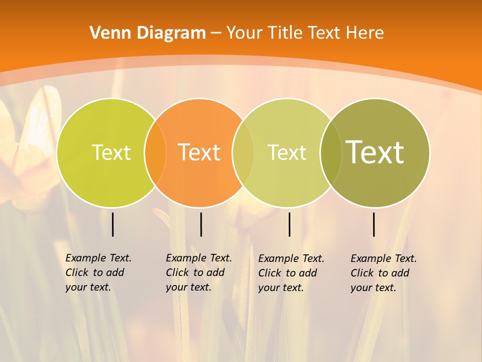 A Field Of Yellow Flowers Powerpoint Template PowerPoint Template