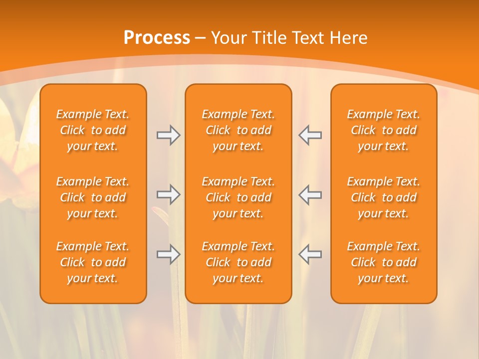 A Field Of Yellow Flowers Powerpoint Template PowerPoint Template