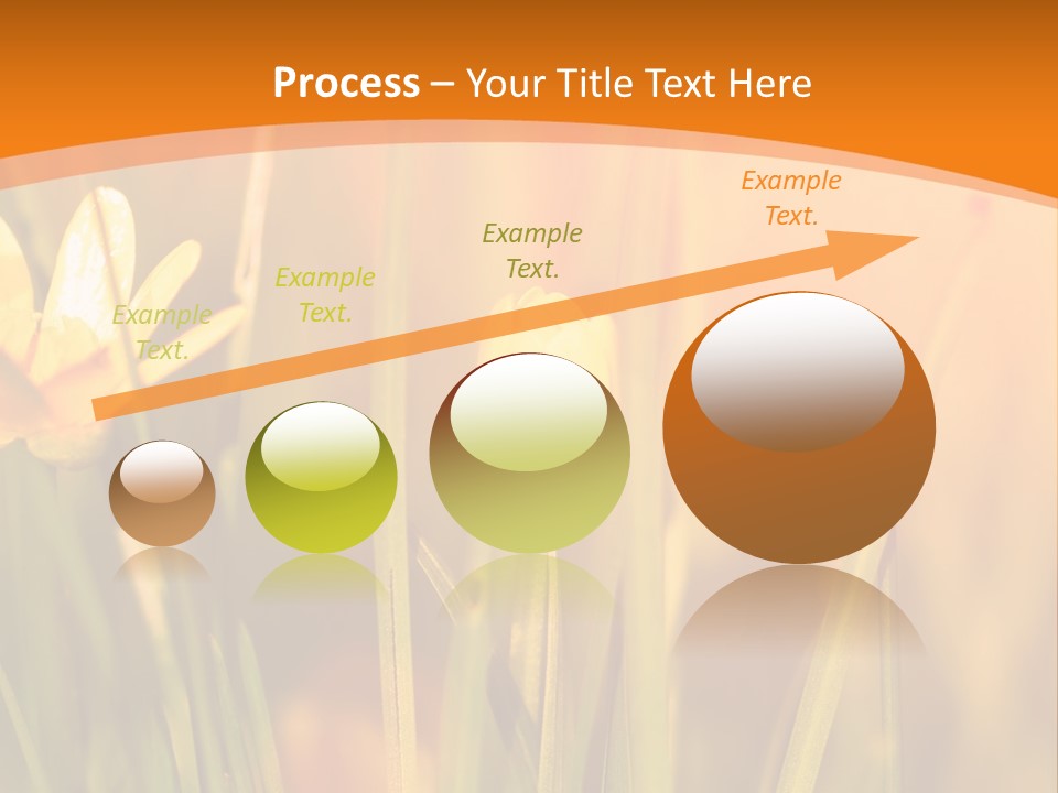 A Field Of Yellow Flowers Powerpoint Template PowerPoint Template