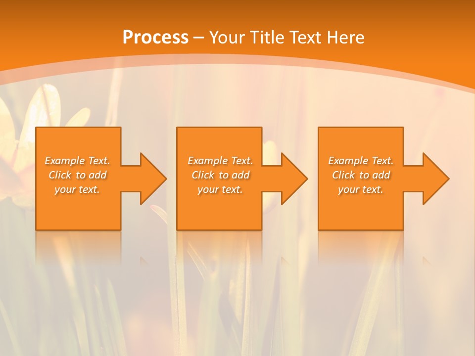 A Field Of Yellow Flowers Powerpoint Template PowerPoint Template