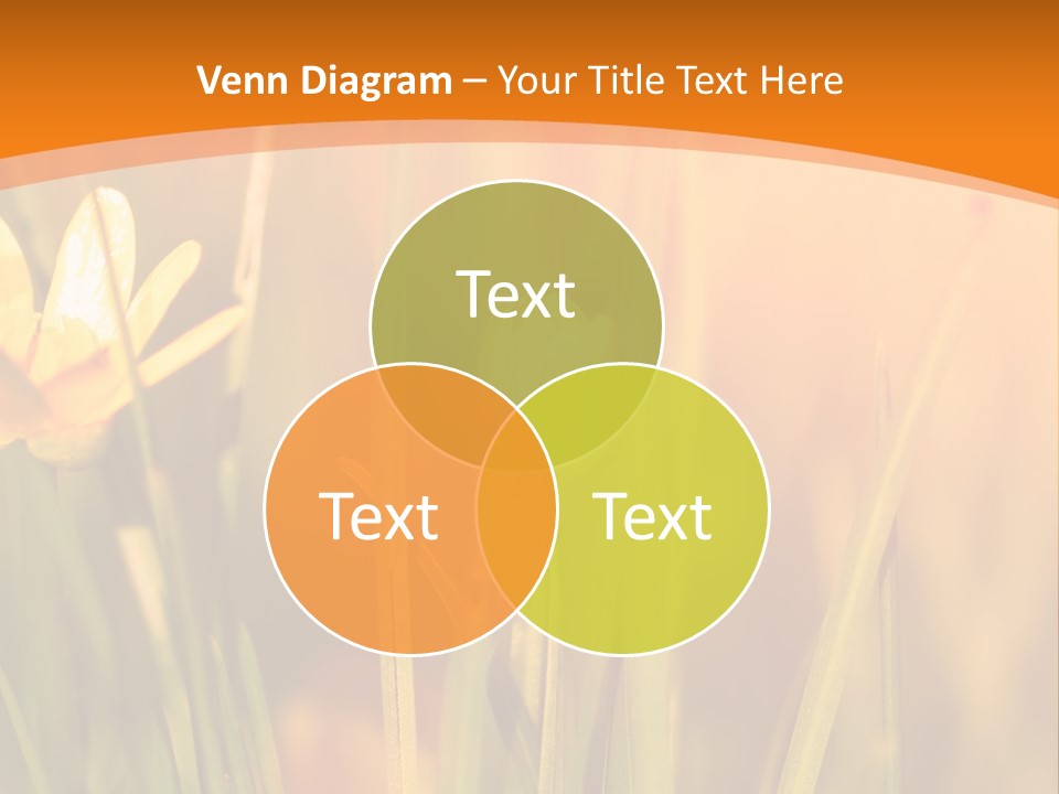 A Field Of Yellow Flowers Powerpoint Template PowerPoint Template