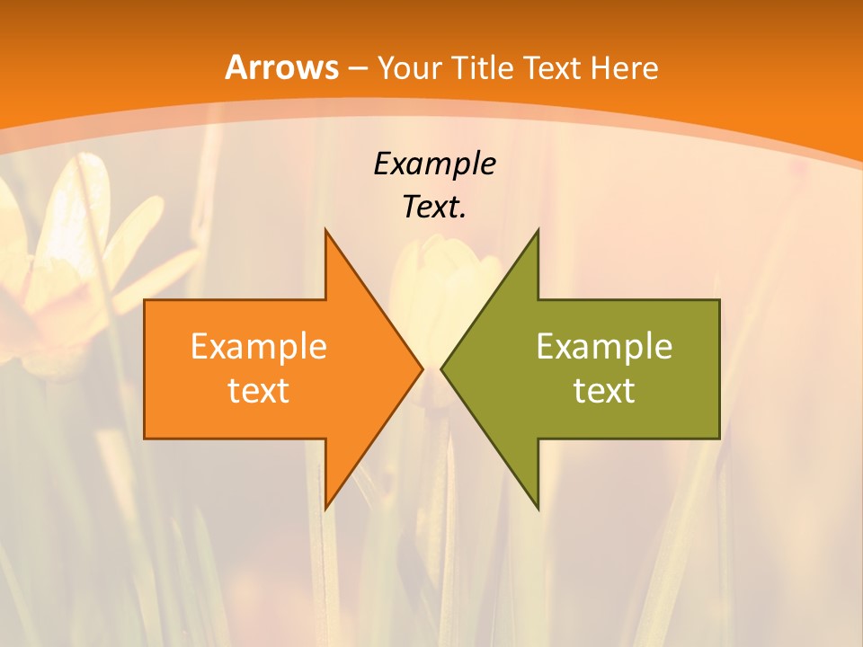 A Field Of Yellow Flowers Powerpoint Template PowerPoint Template