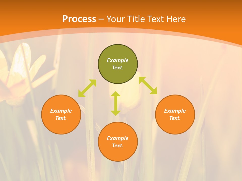 A Field Of Yellow Flowers Powerpoint Template PowerPoint Template