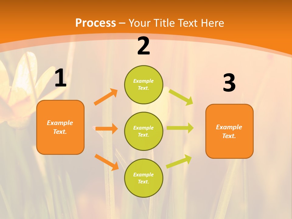 A Field Of Yellow Flowers Powerpoint Template PowerPoint Template