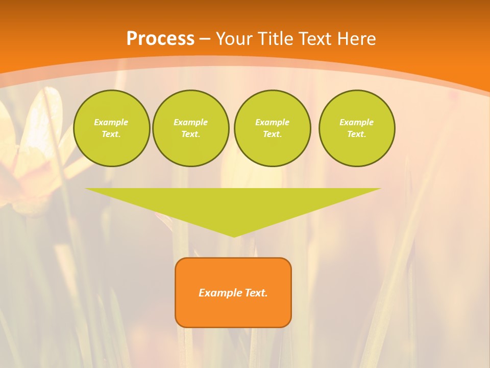 A Field Of Yellow Flowers Powerpoint Template PowerPoint Template