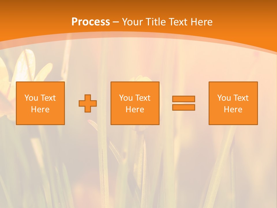 A Field Of Yellow Flowers Powerpoint Template PowerPoint Template