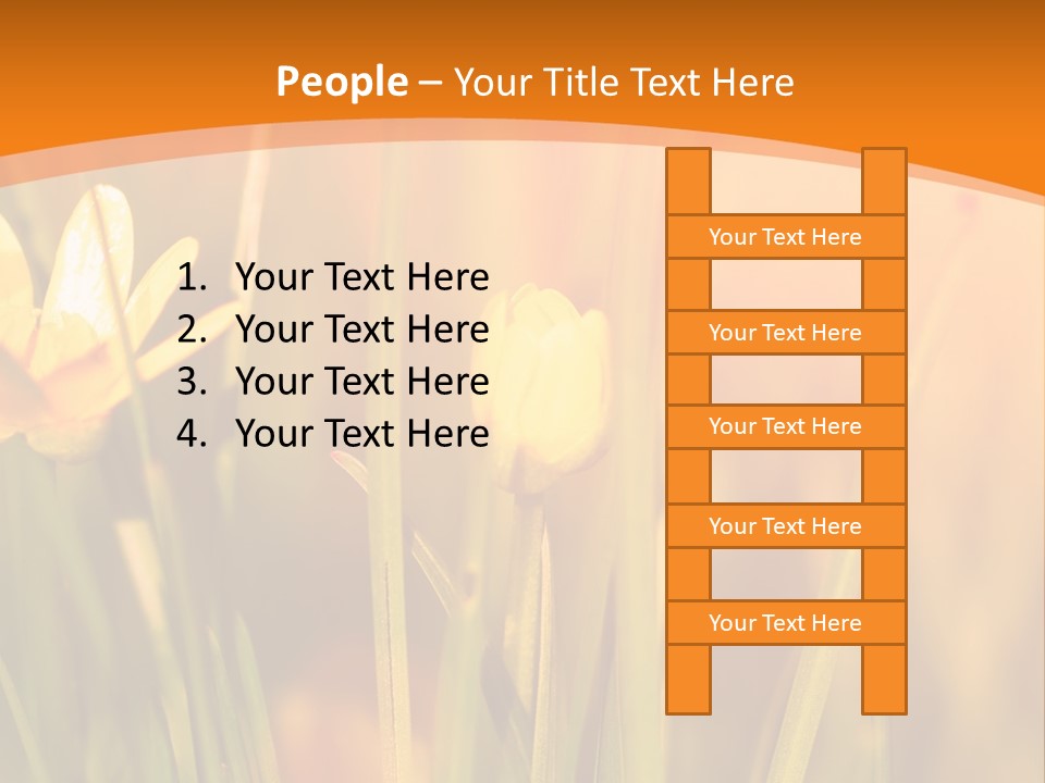 A Field Of Yellow Flowers Powerpoint Template PowerPoint Template