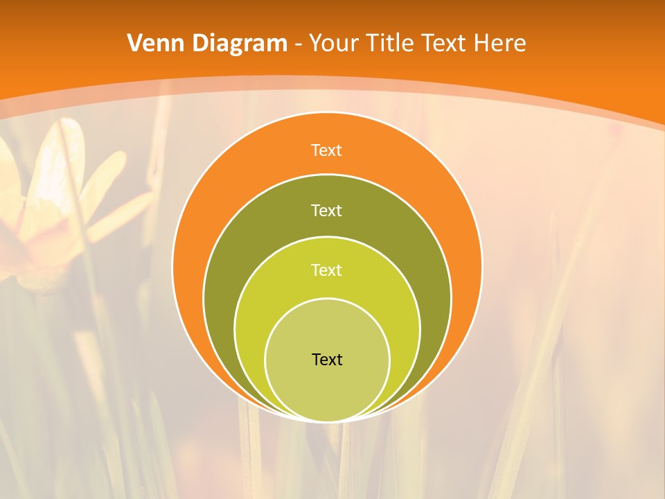 A Field Of Yellow Flowers Powerpoint Template PowerPoint Template