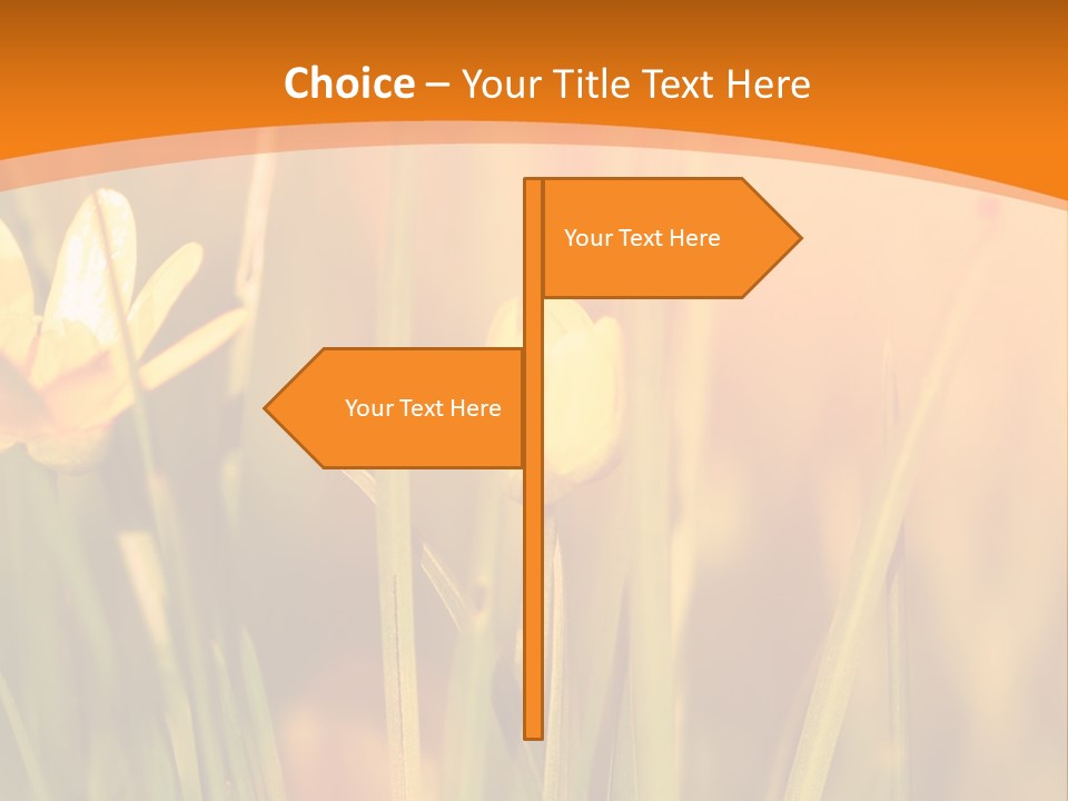 A Field Of Yellow Flowers Powerpoint Template PowerPoint Template