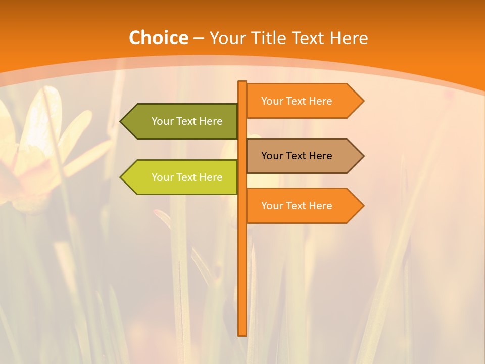 A Field Of Yellow Flowers Powerpoint Template PowerPoint Template