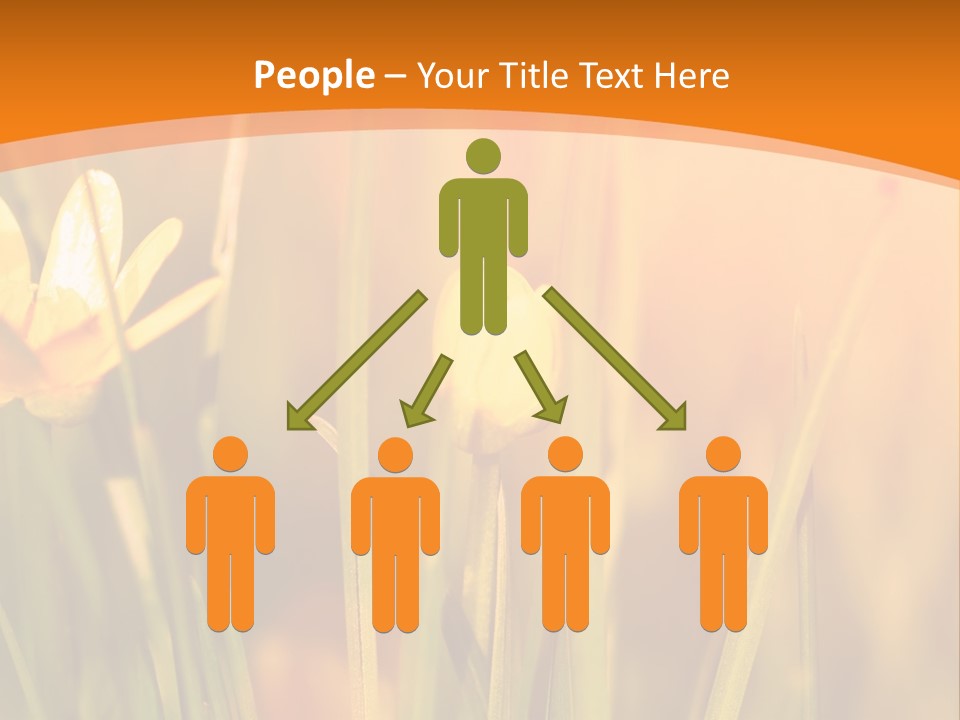 A Field Of Yellow Flowers Powerpoint Template PowerPoint Template