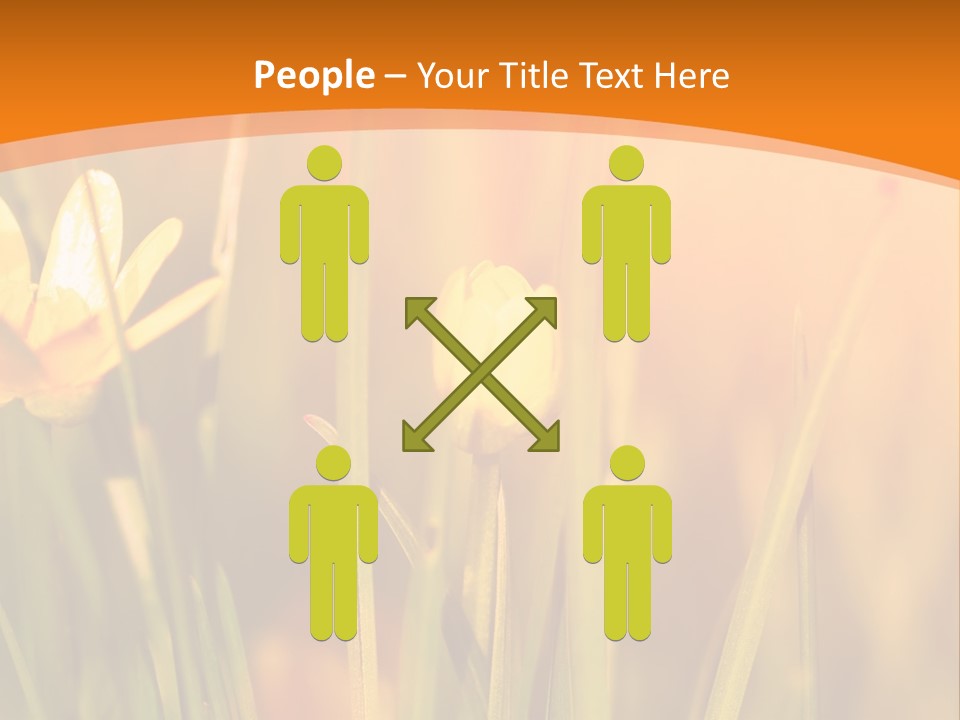 A Field Of Yellow Flowers Powerpoint Template PowerPoint Template