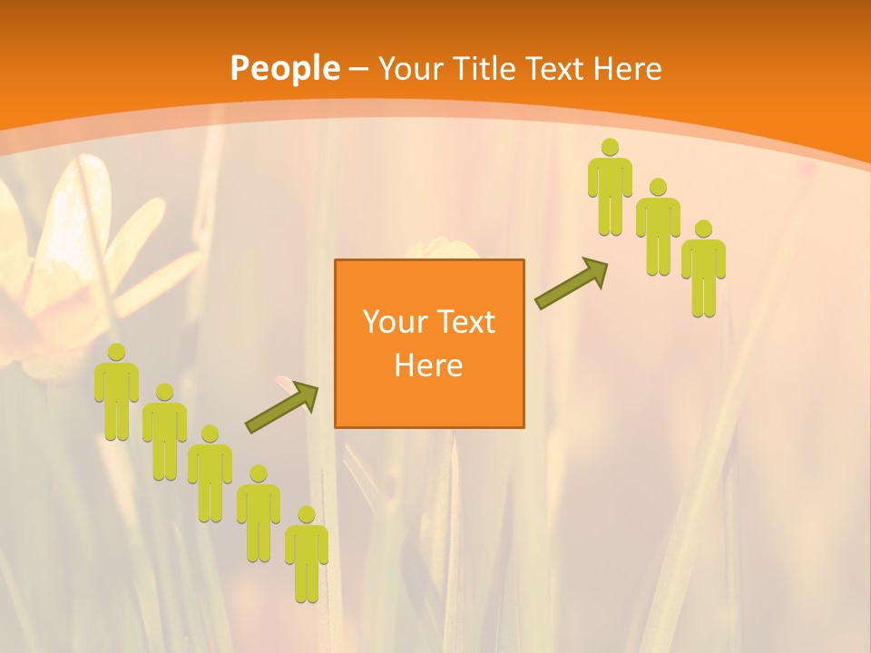 A Field Of Yellow Flowers Powerpoint Template PowerPoint Template