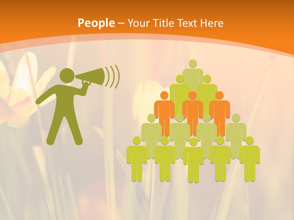 A Field Of Yellow Flowers Powerpoint Template PowerPoint Template