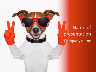 A Dog Wearing Sunglasses And Giving A Peace Sign PowerPoint Template
