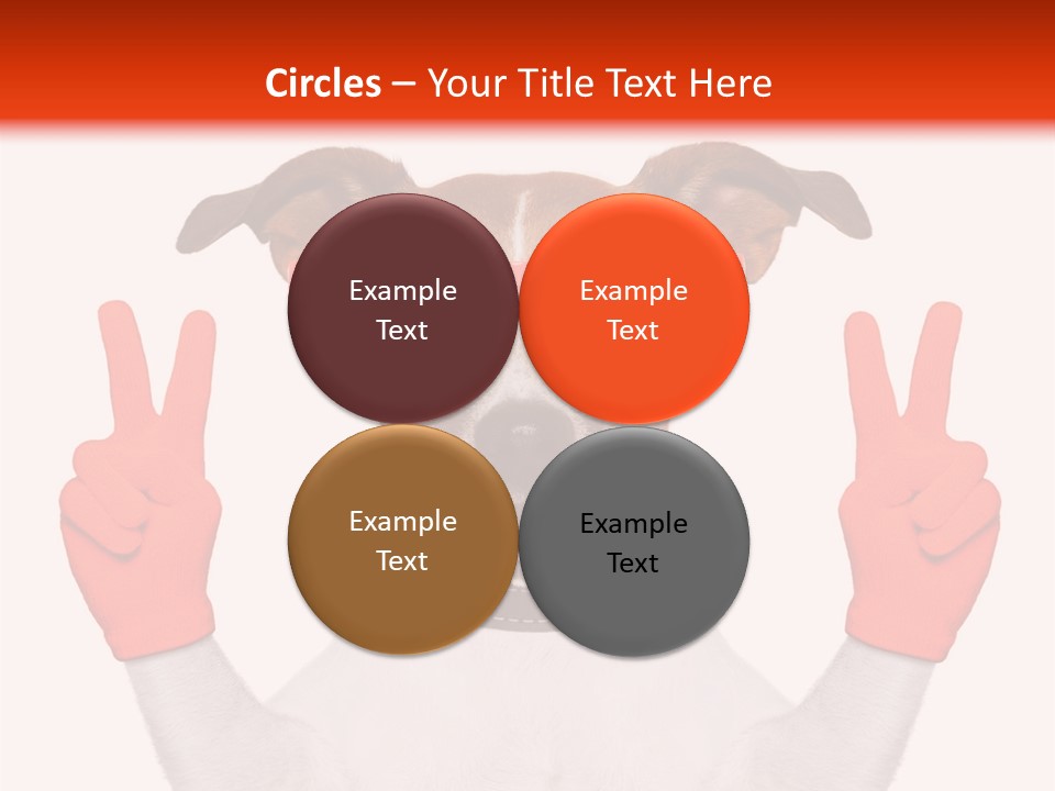 A Dog Wearing Sunglasses And Giving A Peace Sign PowerPoint Template