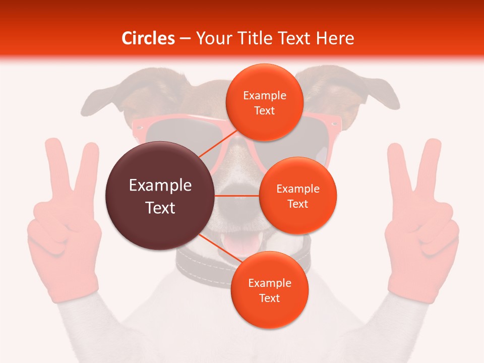 A Dog Wearing Sunglasses And Giving A Peace Sign PowerPoint Template