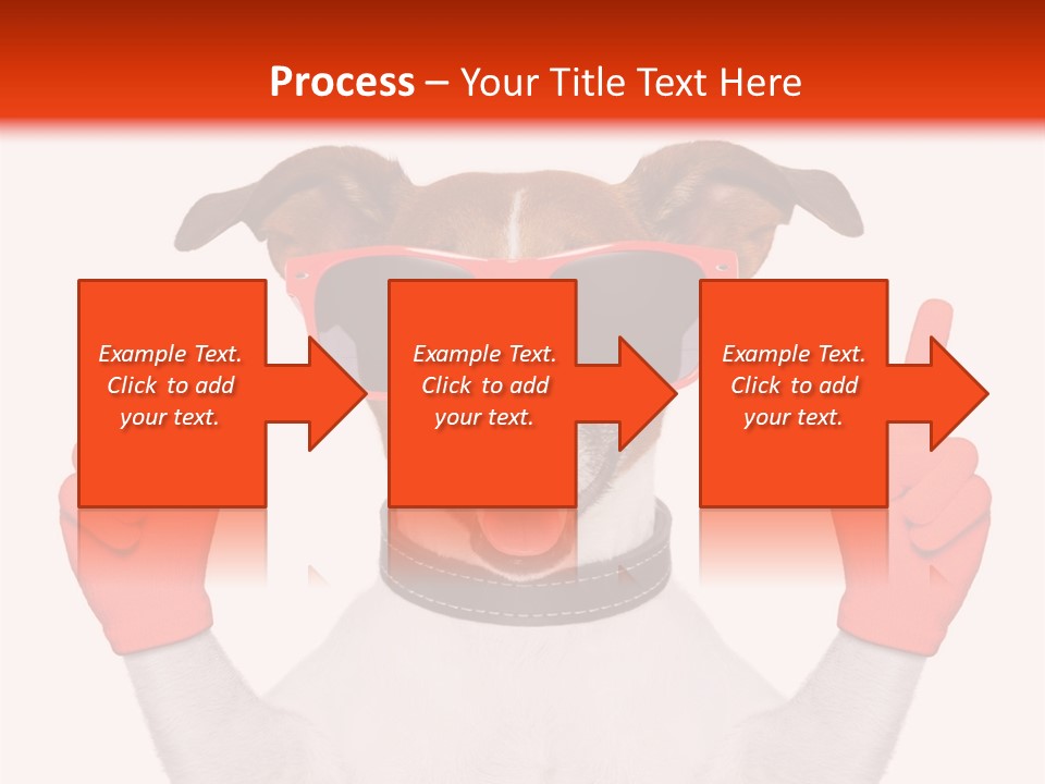 A Dog Wearing Sunglasses And Giving A Peace Sign PowerPoint Template