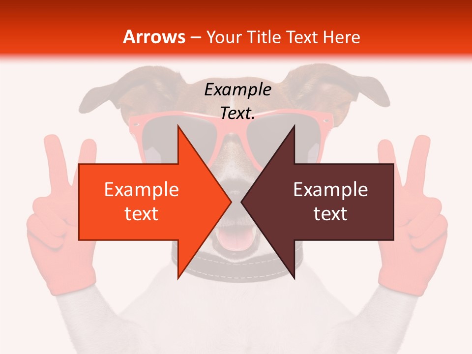 A Dog Wearing Sunglasses And Giving A Peace Sign PowerPoint Template