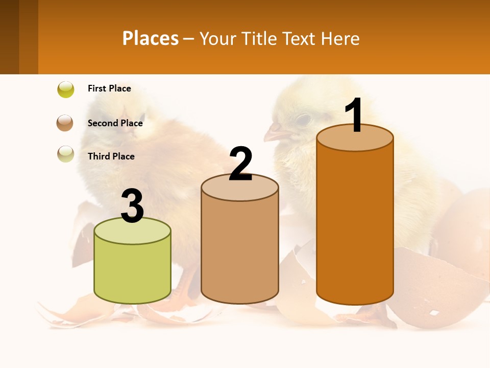 A Couple Of Chickens Standing Next To An Egg PowerPoint Template