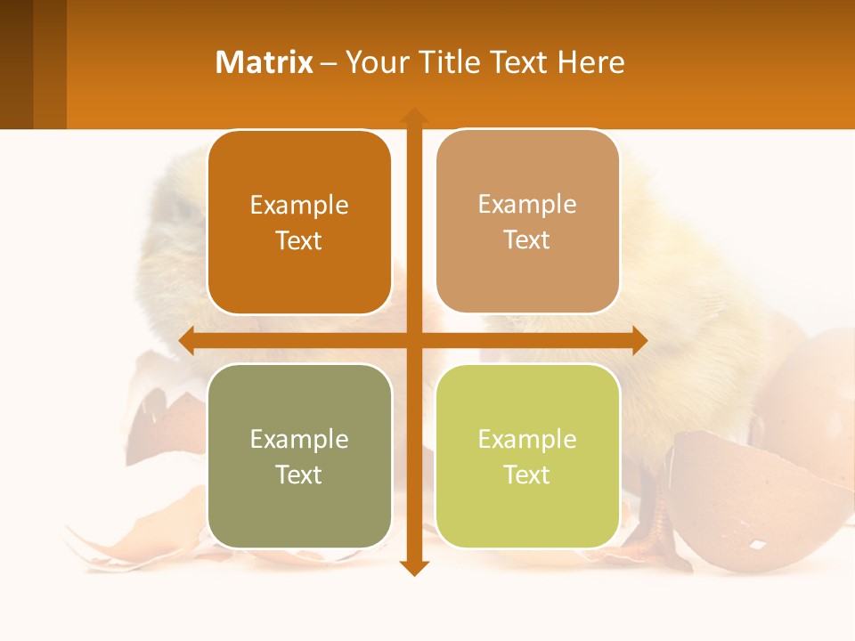 A Couple Of Chickens Standing Next To An Egg PowerPoint Template