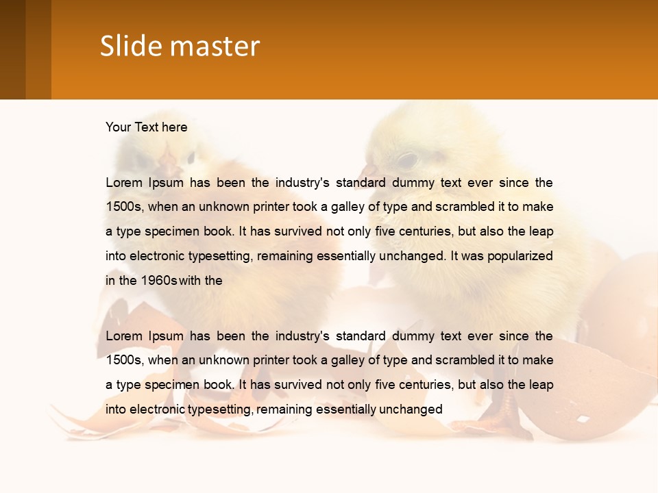 A Couple Of Chickens Standing Next To An Egg PowerPoint Template