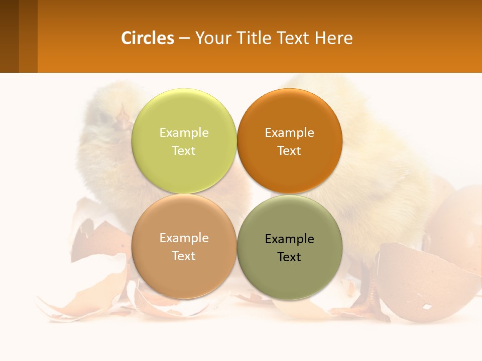 A Couple Of Chickens Standing Next To An Egg PowerPoint Template