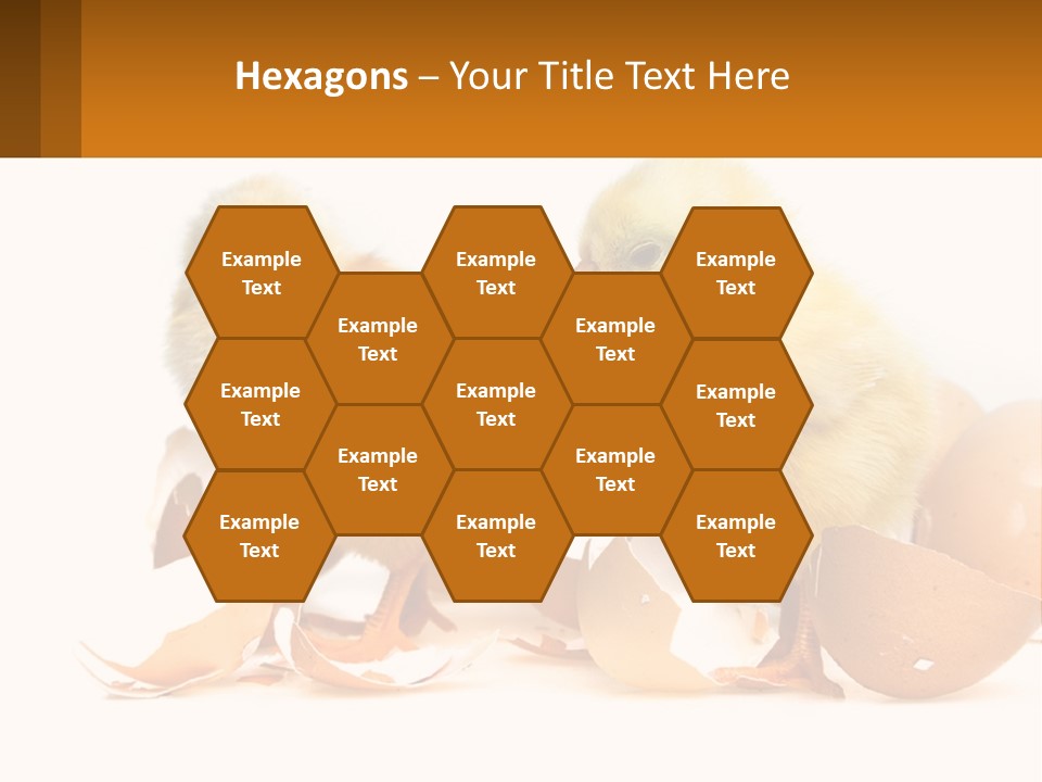A Couple Of Chickens Standing Next To An Egg PowerPoint Template