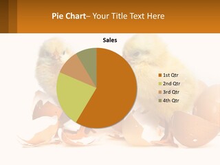 A Couple Of Chickens Standing Next To An Egg PowerPoint Template