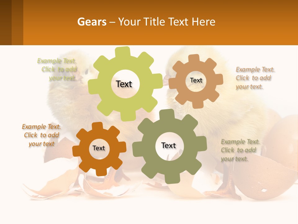 A Couple Of Chickens Standing Next To An Egg PowerPoint Template