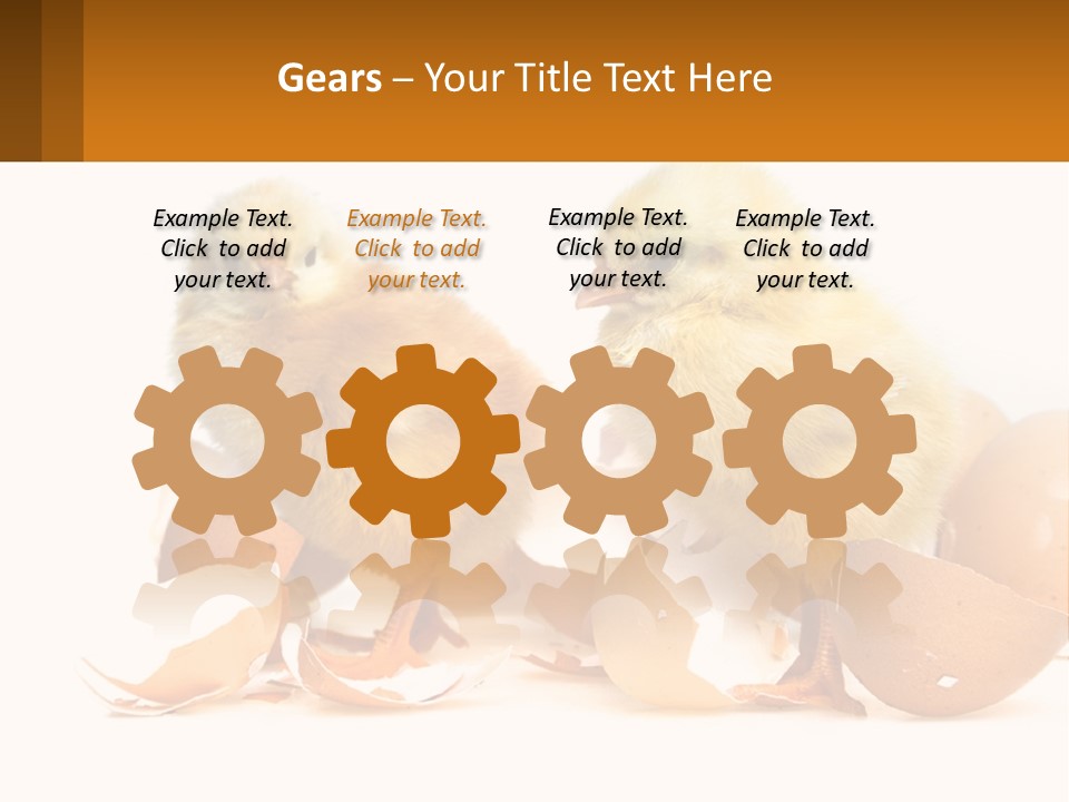 A Couple Of Chickens Standing Next To An Egg PowerPoint Template