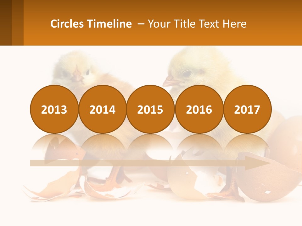 A Couple Of Chickens Standing Next To An Egg PowerPoint Template