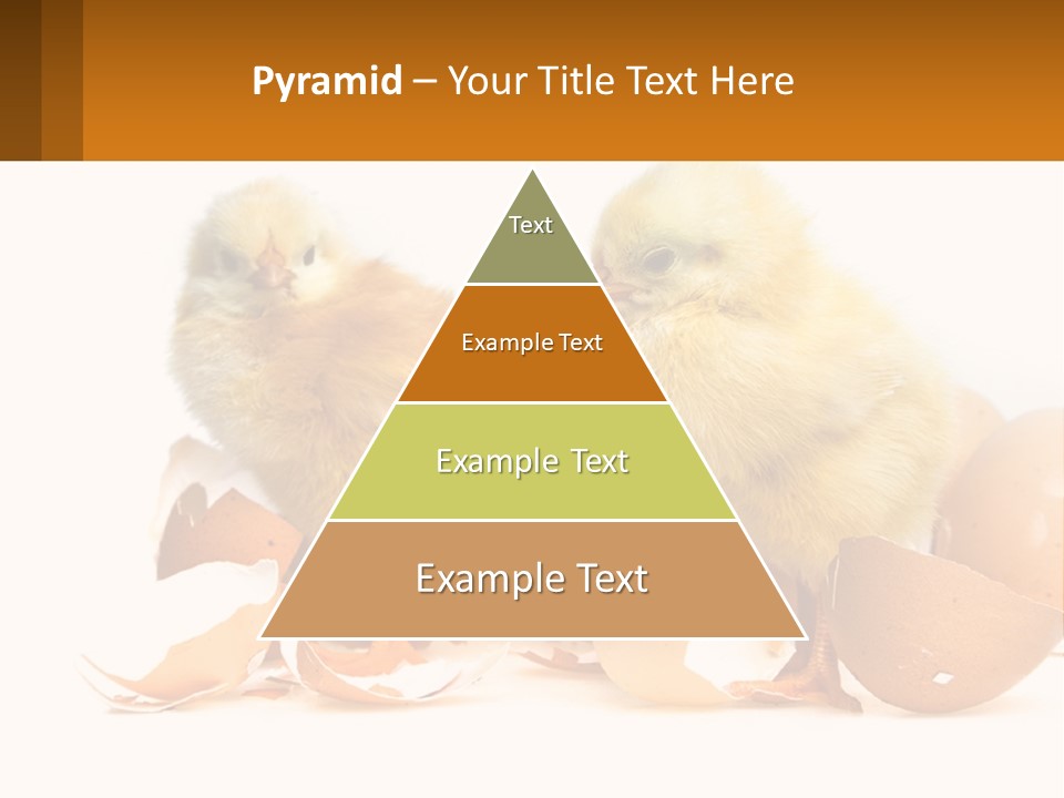 A Couple Of Chickens Standing Next To An Egg PowerPoint Template