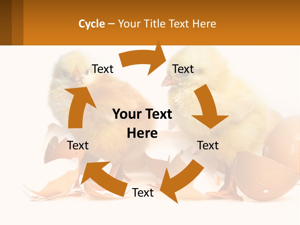 A Couple Of Chickens Standing Next To An Egg PowerPoint Template