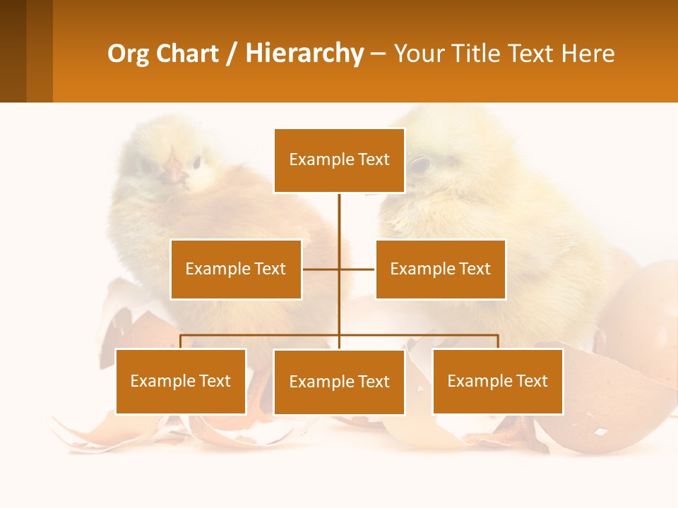 A Couple Of Chickens Standing Next To An Egg PowerPoint Template