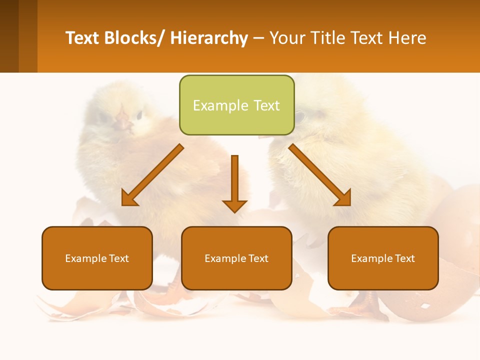A Couple Of Chickens Standing Next To An Egg PowerPoint Template
